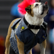 Charlie Neibergall/AP